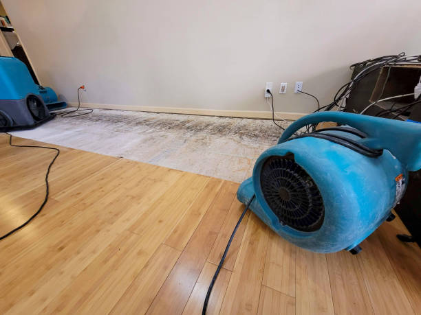Professional Water Removal technician working in Union, IL